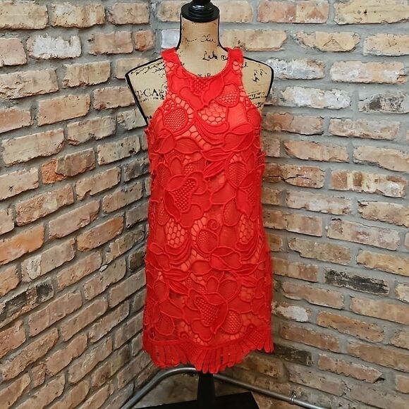 Lovers & Friends Caspian Red Lace sheath dress size Small - Picture 2 of 13